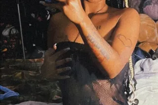 Wild Fanstany - Image 3