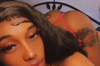 Wild Fanstany - Image 1