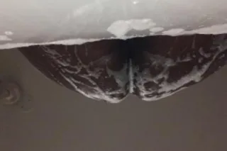 CAR DATES BJ ONLY🌟 CHOCOLATE🍫 POUND CAKE 🍰 THOMASVILLE NC - Image 1